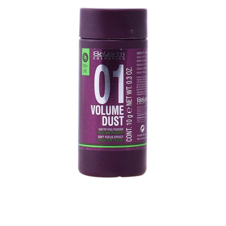 VOLUME DUST matifying powder 10 gr by SALERM for Unisex