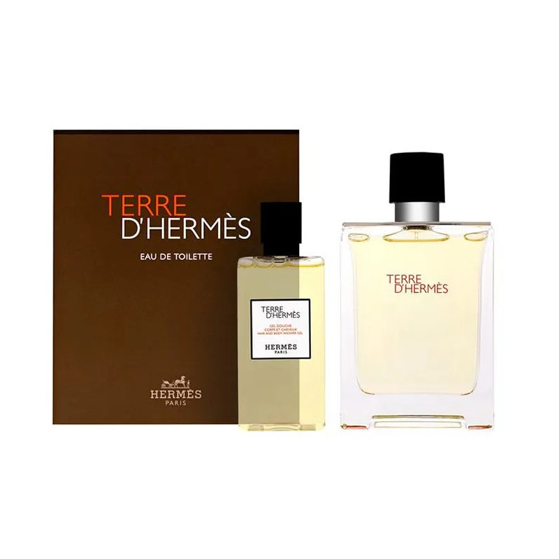 Hermès Terre d'Hermes Eau de Toilette Spray 100ml Conjunto de 2 peças