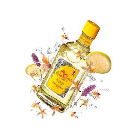 Alvarez Gomez Eau de Colônia Concentrado 750ml