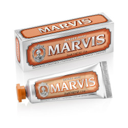 GINGER MINT toothpaste 25 ml by MARVIS for Unisex