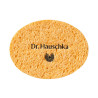 Esponja Desmaquillante 1 u by DR. HAUSCHKA for Unisex