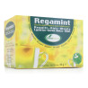 Soria Regamint 20 Filter