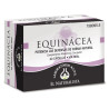 Equinácea Natural 60 Cápsulas