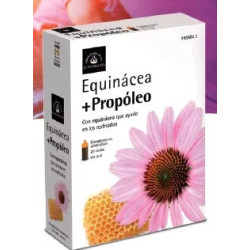 Natürliches Echinacea-Propolis, 20 Ampullen