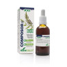 Soria Composer 18 Regastril Complex S XXI 50ml
