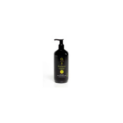 Dermo Afro Champu Mango-Argán 500ml