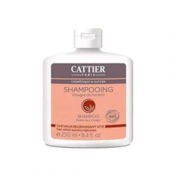 Cattier Paris Cattier Shampoo für fettiges Haar 250 ml