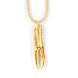 TUENT COOL BEIGE collar oro brillo 1 u by SHABAMA for Woman