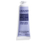 LAVANDA crema manos 30 ml by L'OCCITANE EN PROVENCE for Woman