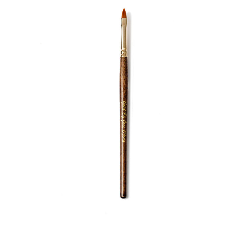 PINCEL labios chocolate 1 pz by GOLD BY JOSE OJEDA for Woman