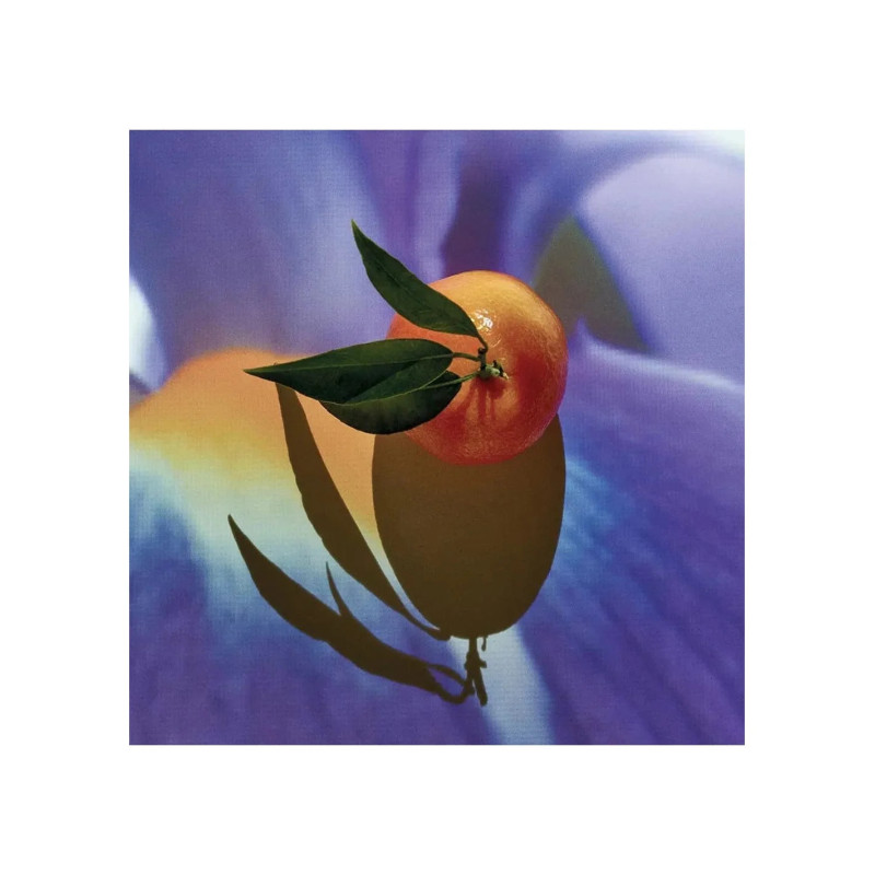 SOLO ELIXIR edp vapo 50 ml