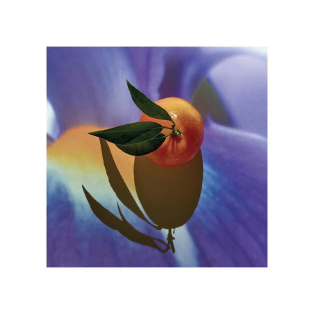 SOLO ELIXIR edp vapo 50 ml