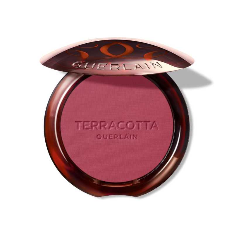 TERRACOTTA BLUSH colorete efecto buena cara 04 1 u by GUERLAIN for Unisex TERRACOTTA BLUSH colorete efecto buena cara 04 1 u by GUERLAIN for Unisex
