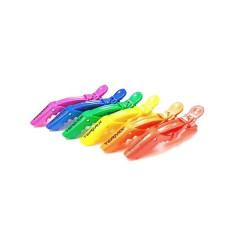 Termix Professional Pride Haarspangen, 6 Stück
