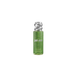Roberto Cavalli RC Just Cavalli Bruma Verde 250 ml