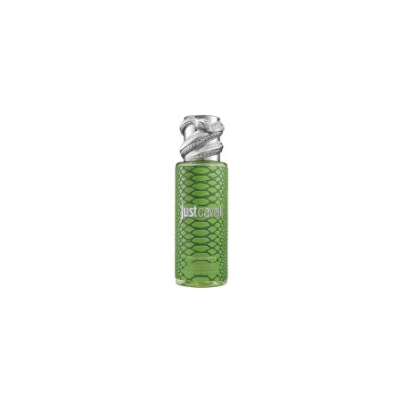Roberto Cavalli RC Just Cavalli Mist Green 250 ml