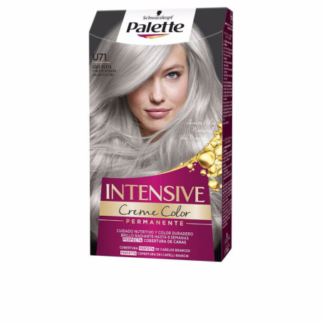 PALETTE INTENSIVE tinte U71 gris plata by PALETTE for Woman