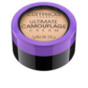 ULTIMATE CAMOUFLAGE cream concealer 015W fair by CATRICE for Unisex