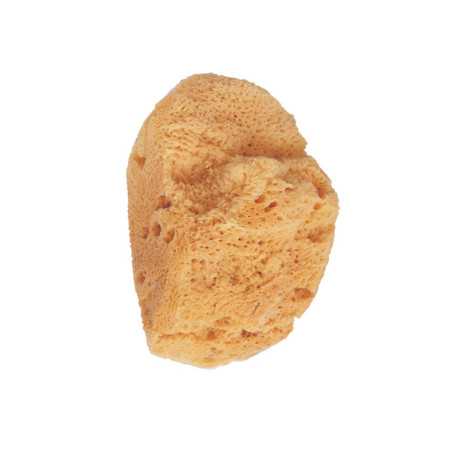 ESPONJA de baño natural marina 1 pz by BETER for Unisex