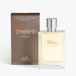 TERRE D'HERMÈS EAU GIVRÉE eau de parfum refillable 100 ml by HERMÈS for Man