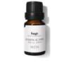 ACEITE ESENCIAL salvia 10 ml by DAFFOIL for Unisex
