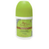 AGUA DE COLONIA CONCENTRADA desodorante roll on fresco 75 ml by ALVAREZ GOMEZ for Unisex