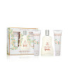 AIRE DE SEVILLA ROSAS BLANCAS ESTUCHE 3 pz by AIRE SEVILLA for Woman