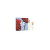 Adolfo Dominguez A D Agua Rosas Edt Spray 120ml 60ml Sets
