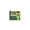 Lattafa Qimmah Women`s Perfume Edp 100ml