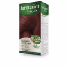 FARMATINT GEL coloracion permanente 4m castano caoba 5 u by FARMATINT for Unisex